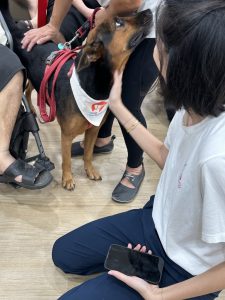 Glry202405_CaninePartners4063