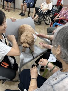 Glry202405_CaninePartners4082